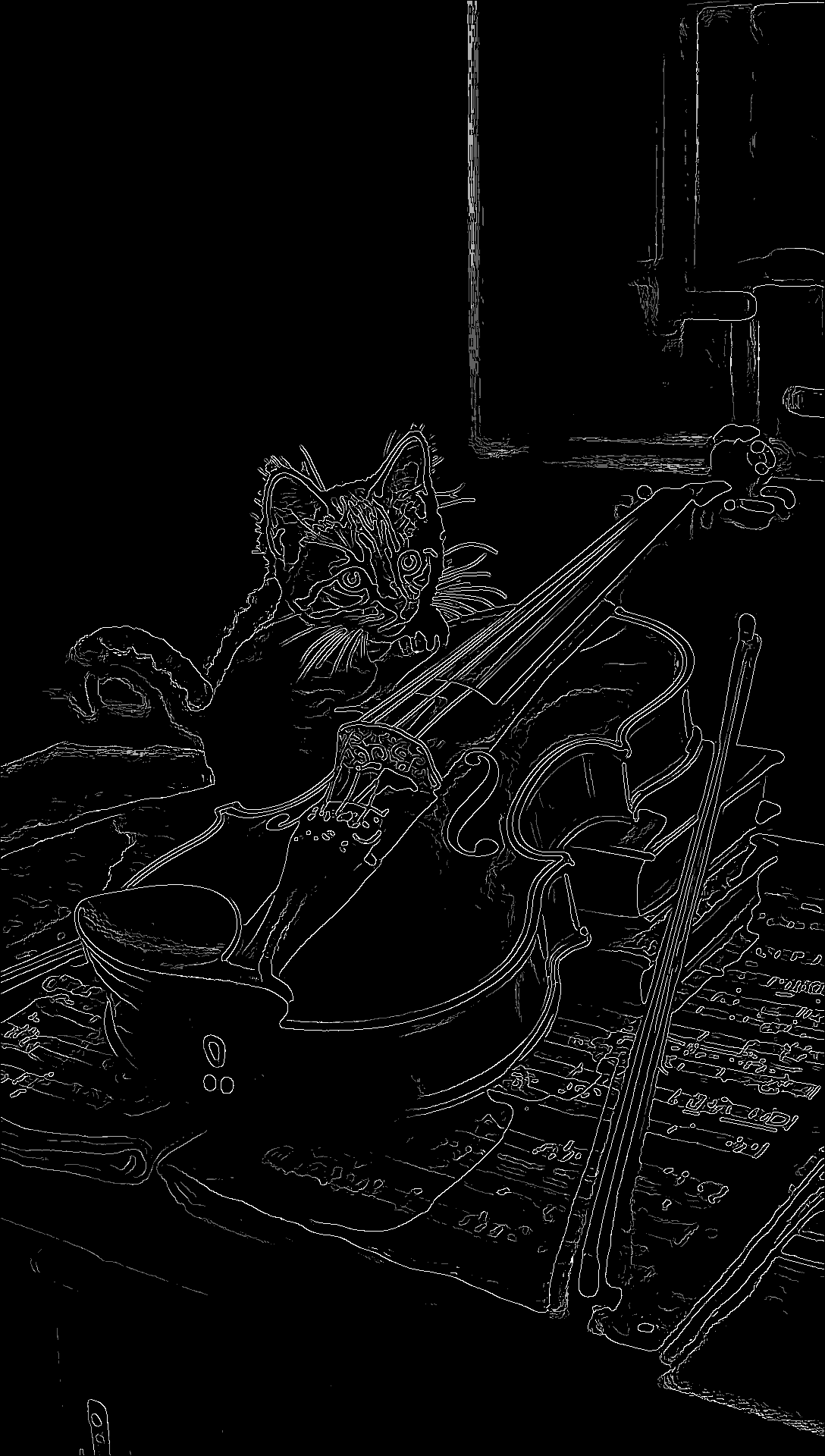 Violin